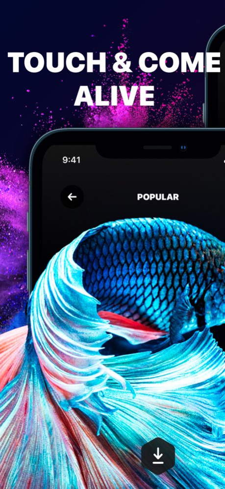 Live Wallpaper & Wallpapers HD 1.35.10 Screenshot