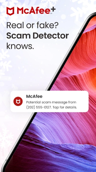 Review Screenshot - McAfee doesn't wait around
