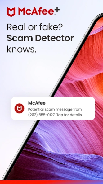 Review Screenshot - McAfee doesn't wait around