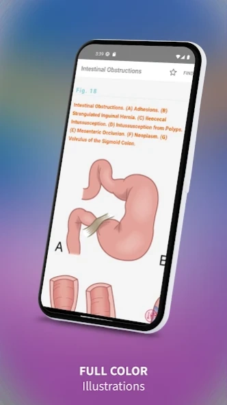 Medical Surgical RN Companion 3.14.0 Screenshot