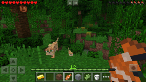 Download Minecraft Trial 1.16.201.01 for Android