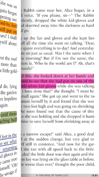 Review Screenshot - A Great Book Reader App for Avid Readers