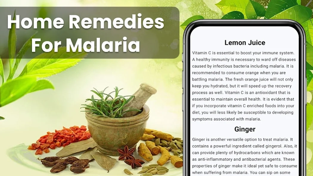 Natural Cure For All Diseases Screenshot