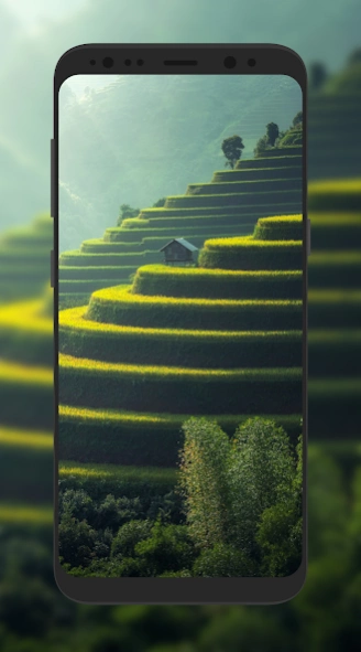 Nature Wallpaper HD 6.1 Screenshot
