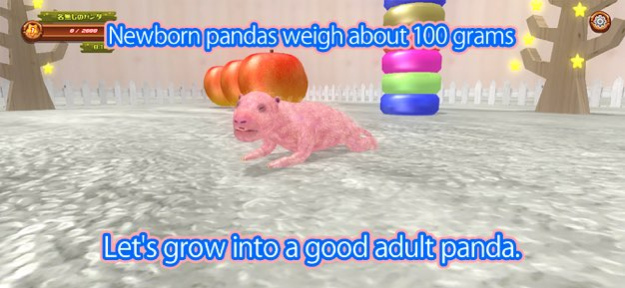 Newborn panda 1.0.5 Screenshot