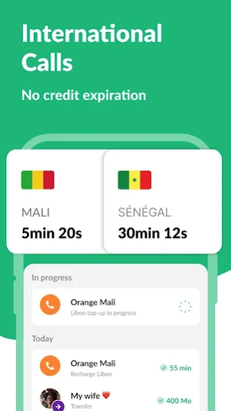 Review Screenshot - Make International Calls at Nominal Rates