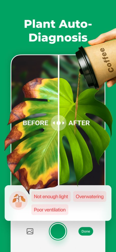 PictureThis - Plant Identifier 5.59.0 Free Download