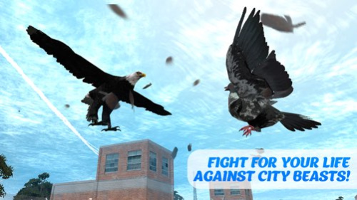 Pigeon Bird Survival Simulator 3D 1.1 Screenshot