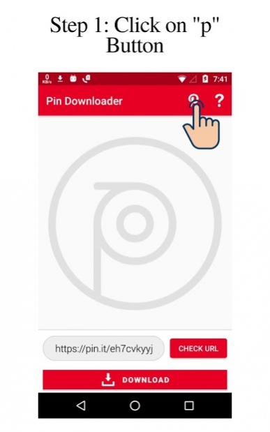 Pin downloader