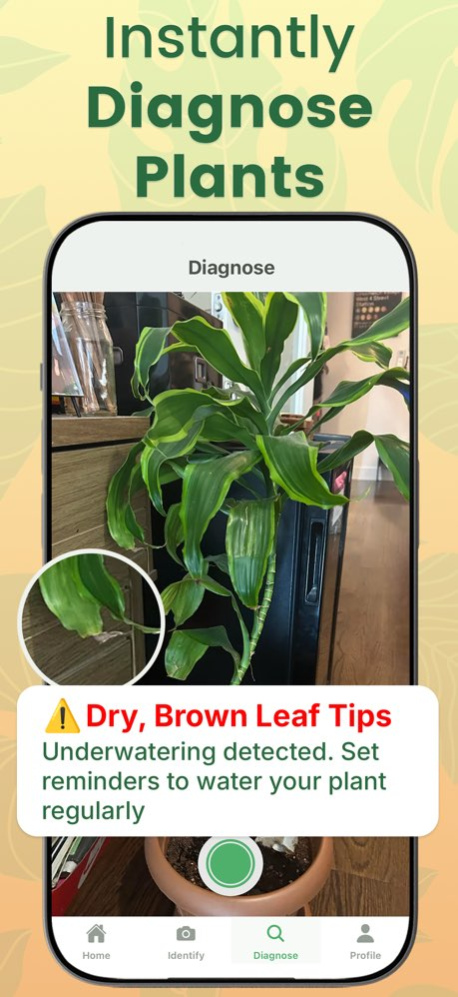 Plant Diagnosis & Help 1.6.0 Screenshot