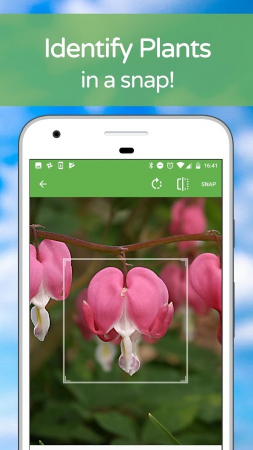 SCARICARE PLANTSNAP