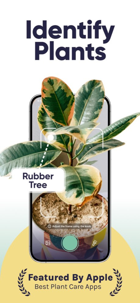 Plant Identifier, Care: Planty 1.23.27 Free Download