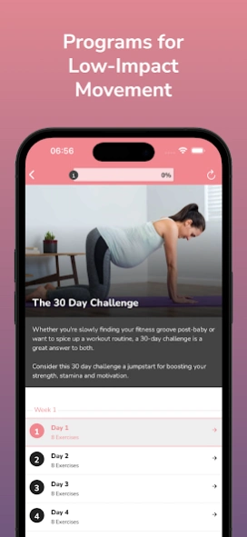 Pregnancy Workout Program Screenshot