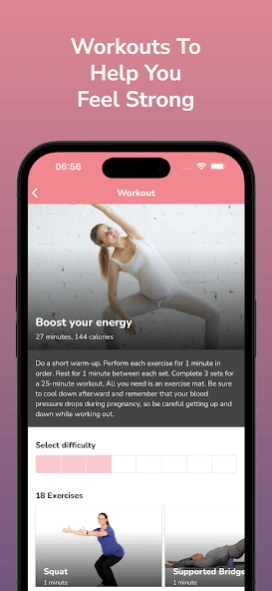 Pregnancy Workout Program Screenshot