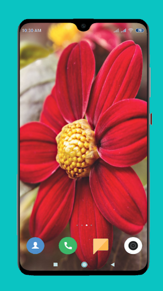 Red Wallpaper HD 1.09 Screenshot