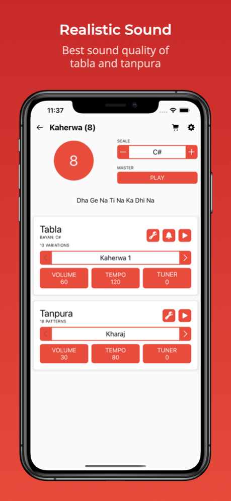 Rhythm with tabla and tanpura for pc top