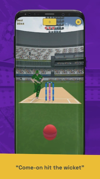 Run Out Champ: Hit Wicket Game 55 Screenshot
