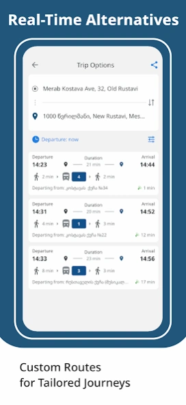 Rustavi Transport 3.1.3 Screenshot