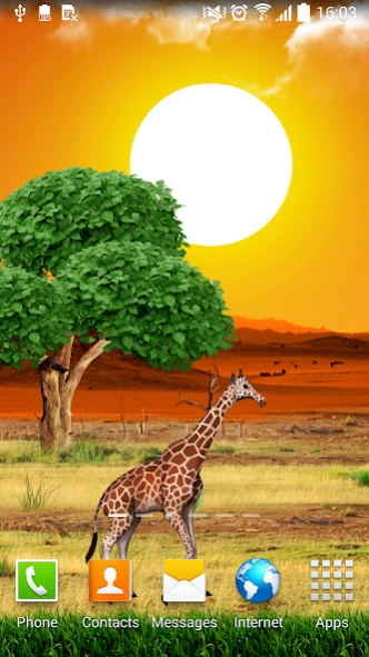 Safari Live Wallpaper 1.0.9 Screenshot