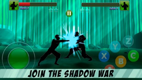 Shadow Kung Fu Fighting 3D Screenshot