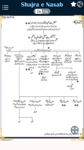 prophet muhammad family tree pdf