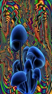 Shrooms Live Wallpaper Hd 1 3 Free Download