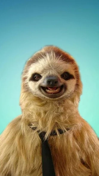 Sloth Wallpapers 2.0.0 Free Download