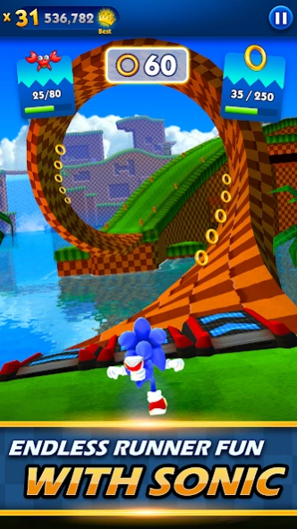 Review Screenshot - Run Sonic, Run!