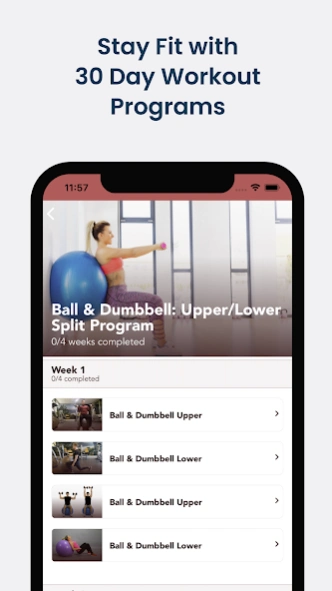 Stability Ball Workout Screenshot