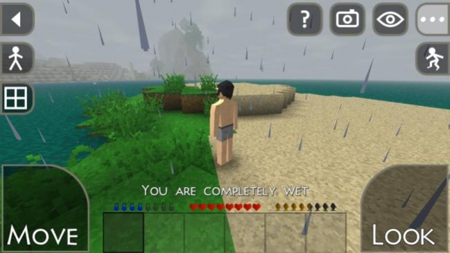 Survivalcraft, Software