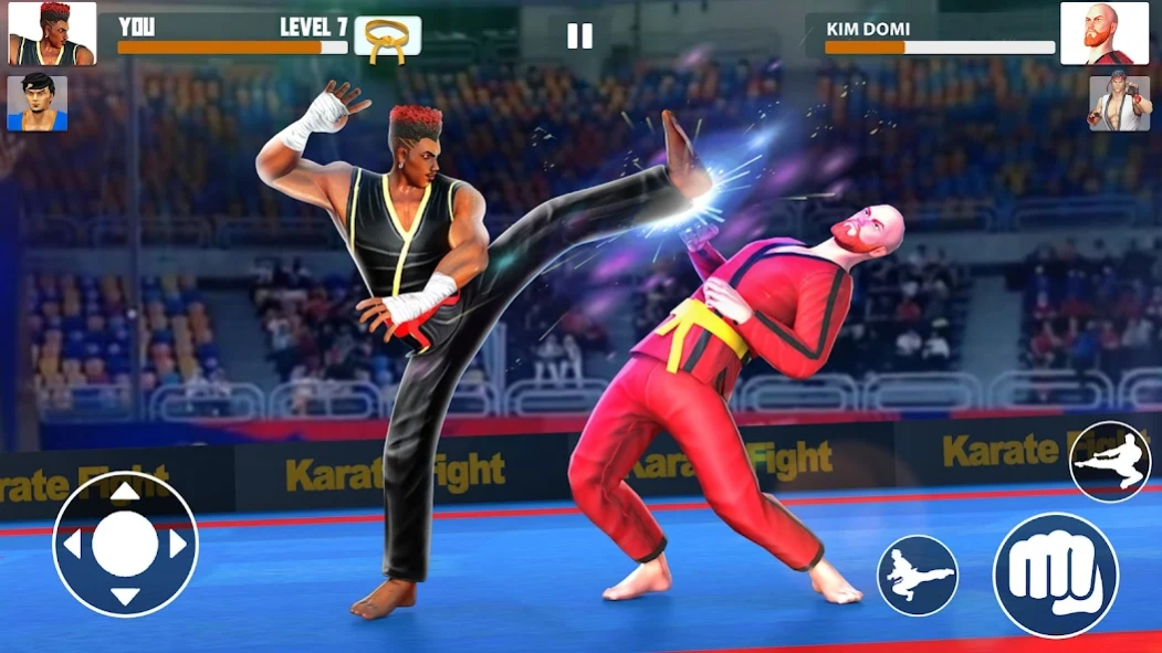Review Screenshot - Fighting Game – Your Chance to Showcase Your Karate Skills