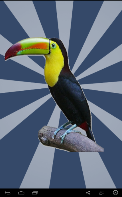 Keel Billed Toucan, PDF, Birds