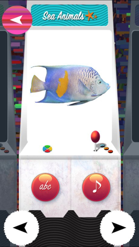 TOY - ZOO Animals And Birds Flash Cards - Free PreSchool Educational Learning Games For Toddlers And Kindergarten Babies Screenshot