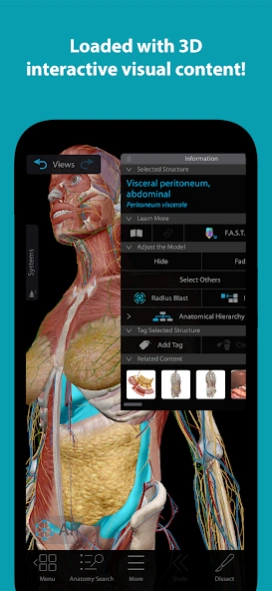 Visible Body Suite 7.005.016 Screenshot
