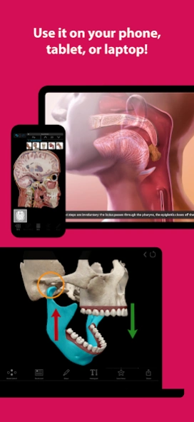 Visible Body Suite 7.005.016 Screenshot
