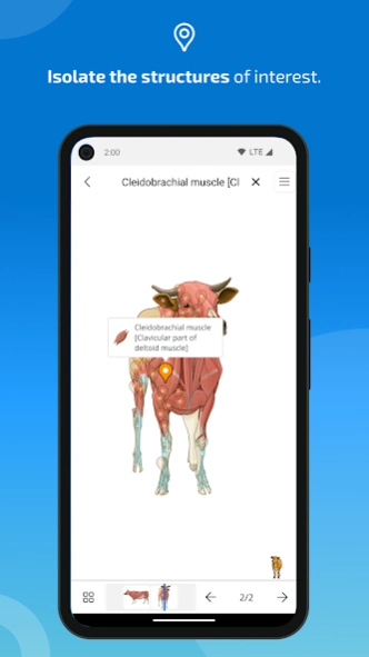 IMAIOS vet-Anatomy 5.10.0 Screenshot