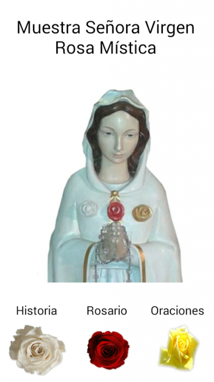 Virgin Mary Mystical Rose. 