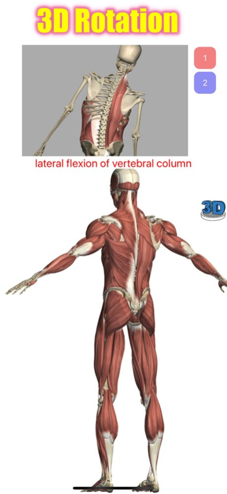 Visual Anatomy Lite 5.7 Screenshot