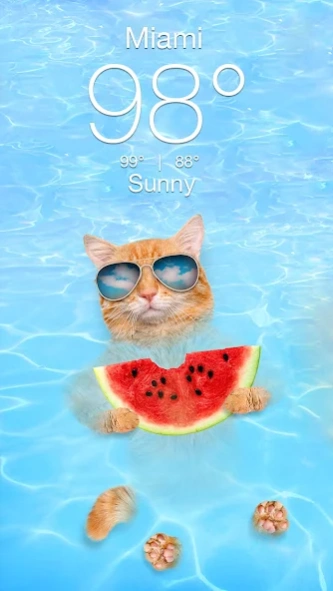 Weather Kitty - App & Widget 6.2.9 Screenshot