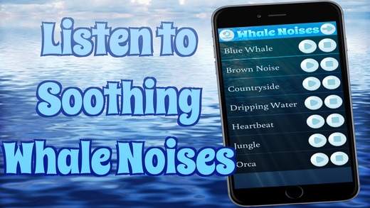 Whale Noises 1.0 Free Download