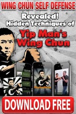Wing Chun Martial Arts 5 0 Free Download