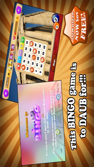 wonder-bingo-wonderful-bingo-game-free-download